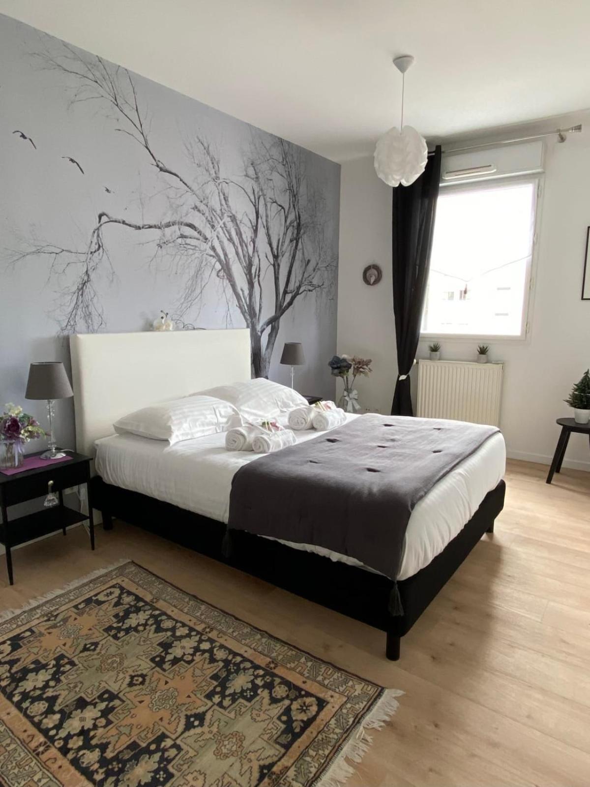 L'Aragon- Bel appartement vue sur la Maine Angers Extérieur photo